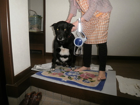 お散歩前かな?