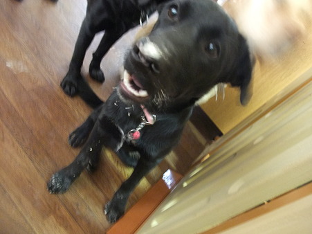 犯人は誰だ!?