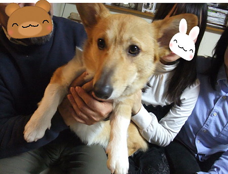 幸せにね