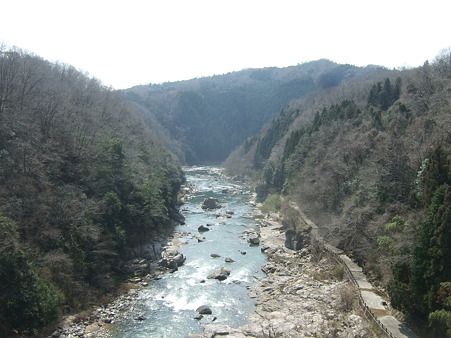 DSCF4535