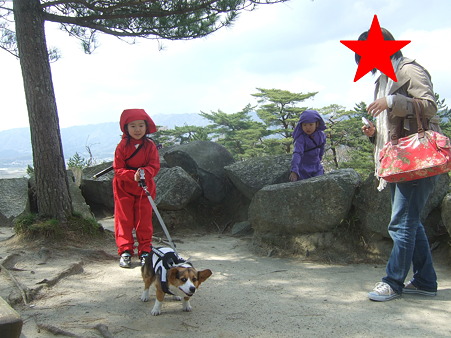 DSCF4774修正