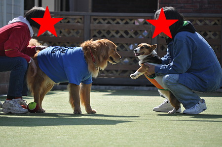 DSC_0253修正