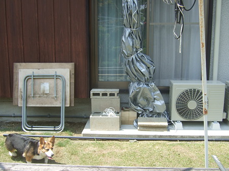 DSCF5197