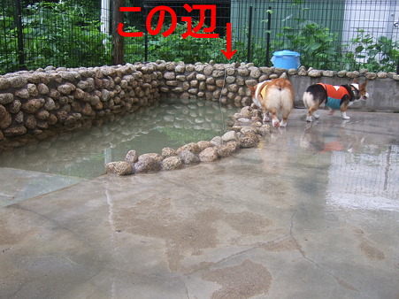 DSCF5468修正