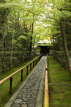 大徳寺高桐院 - 1