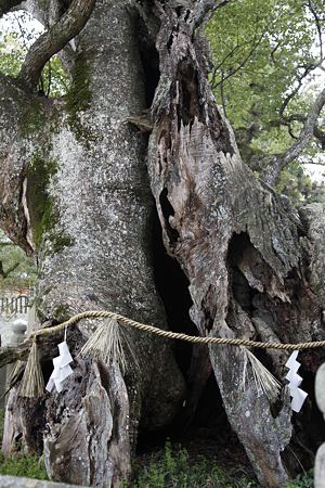 大山祇神社 - 07