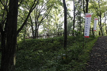 長谷堂城 - 10
