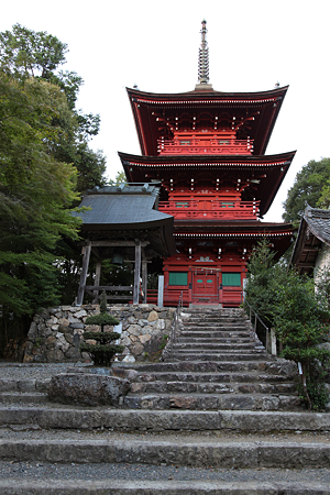 柏原八幡神社 - 03