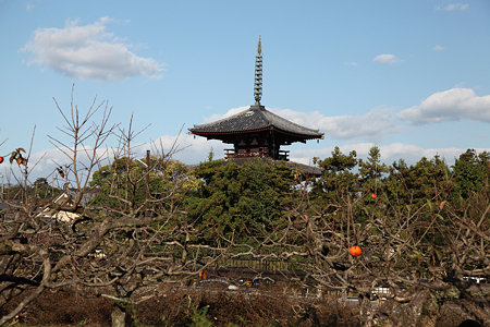 法輪寺 - 02