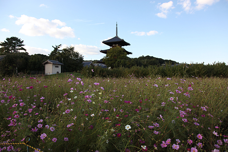 法起寺 - 13
