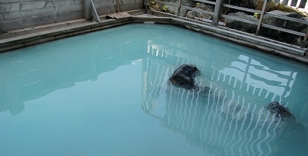 限りなく白色に近いブルー
