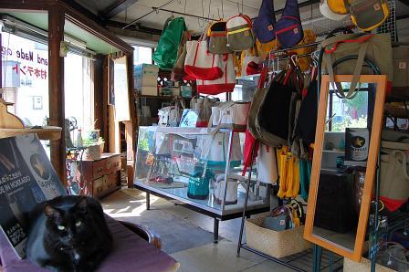 猫が出迎えてくれる