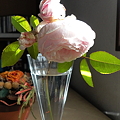 Photos: DSC05737