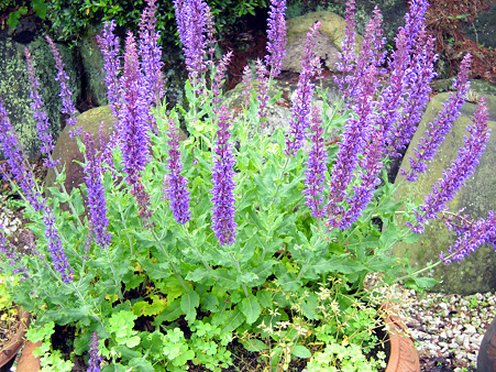 DSCN0850_edited