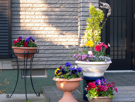 DSCN2412_edited