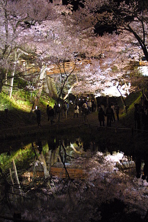 桜雲橋　２