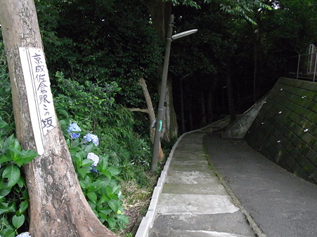 選挙の帰り道・・・