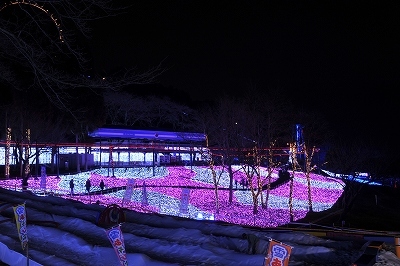 光の花畑7