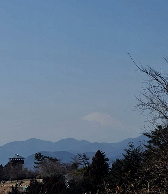 1ヤビツ峠1-8