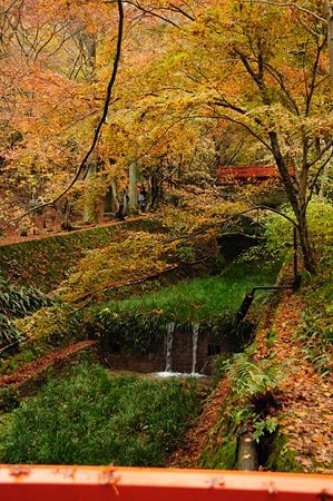 0911180957_DSC_0546