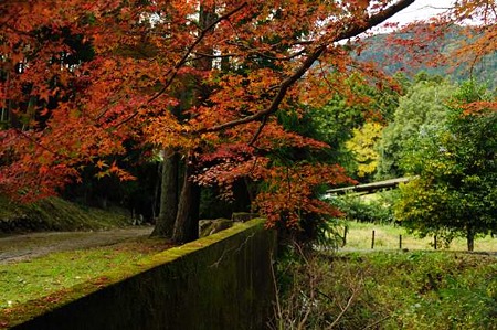 0911181106_DSC_0975