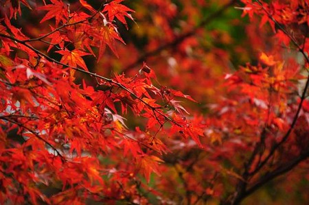 0911181106_DSC_0978