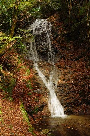 0911181222_DSC_1180