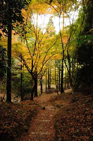0911181226_DSC_1192