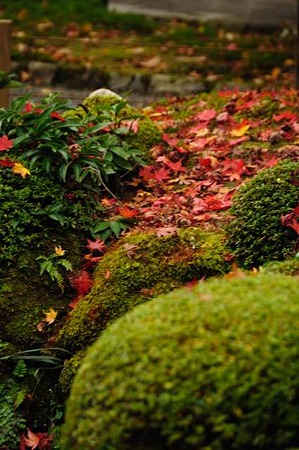 0911181450_DSC_1447