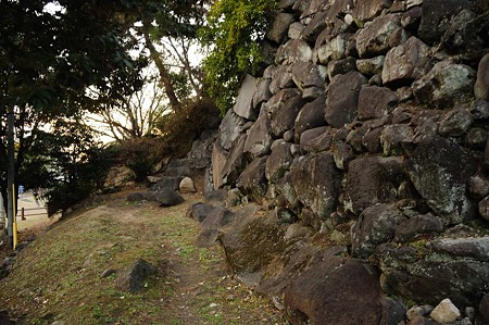 1001011654_DSC_5941