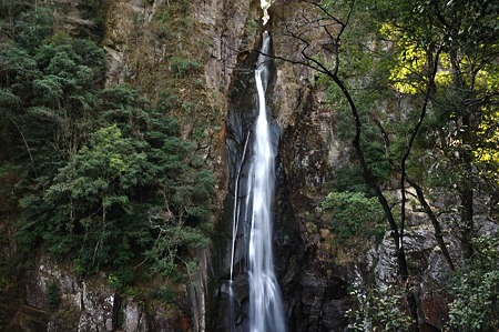 1001041339_DSC_9879
