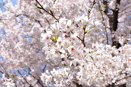 1004081219_DSC_2010