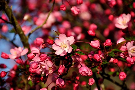 1004081719_DSC_2758