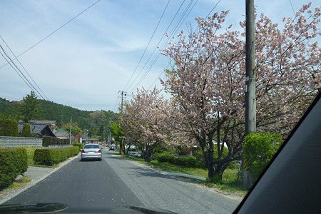 1005031026_P1650092