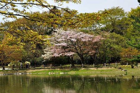 1005031042_DSC_3111