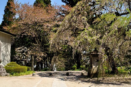 1005031255_DSC_3273
