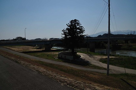1005031429_DSC_3601