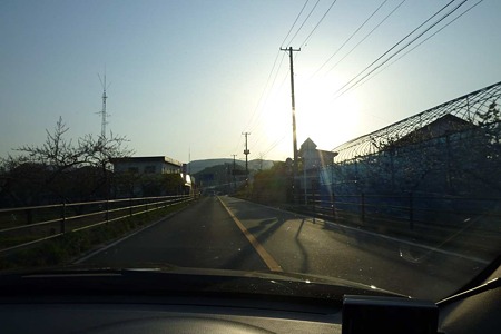 1005031721_P1650307