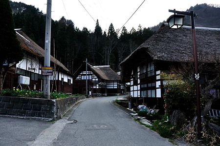 1005041707_DSC_4839