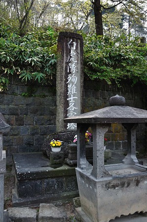 1005050818_DSC_4977