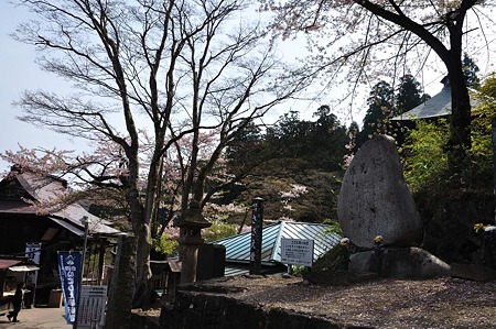 1005050829_DSC_5061
