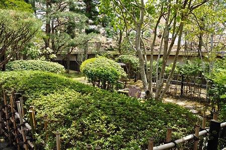 1005051206_DSC_5488