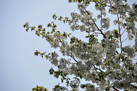 1005051328_DSC_5633