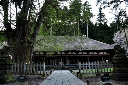 1005051719_DSC_6045