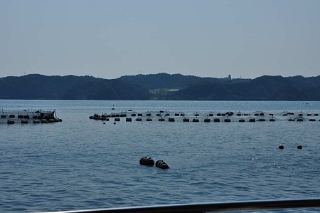 1009191328_DSC_1748