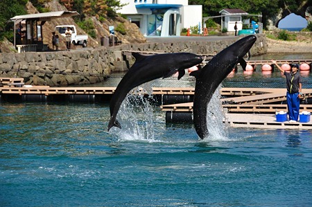 1009191417_DSC_1972