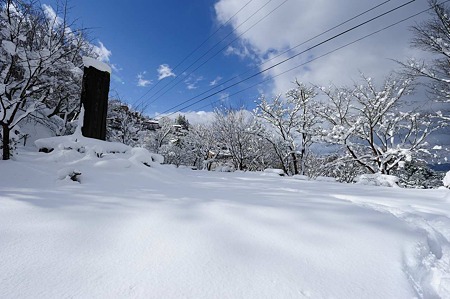 1101011212_DSC_6178