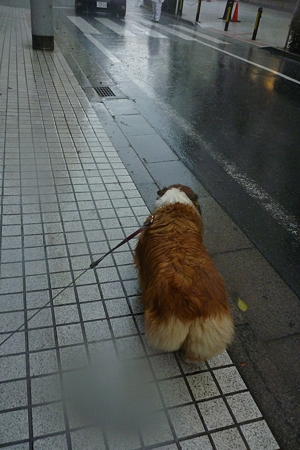 P1020471