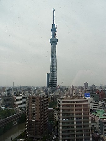 スカイツリーが見える