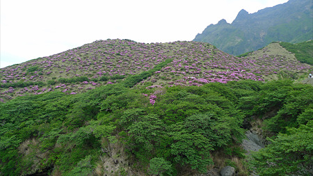 仙酔峡(3)
